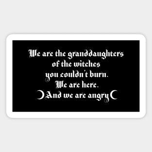 We are the granddaughters of the witches you couldn't burn 2.1 Magnet